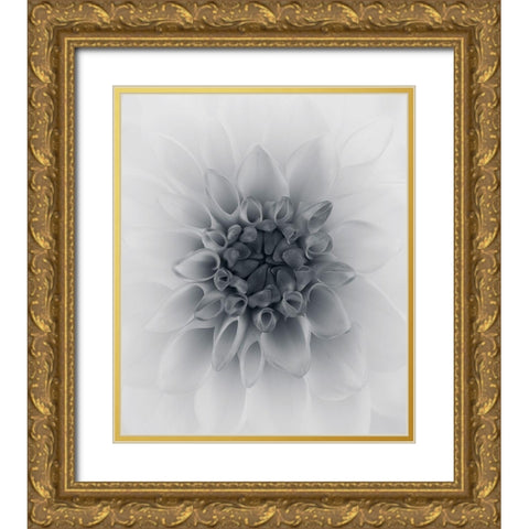 Dahlia Gold Ornate Wood Framed Art Print with Double Matting by Gronkjar, Lotte