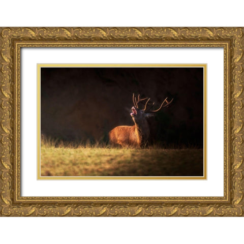 The Deers Zeal Gold Ornate Wood Framed Art Print with Double Matting by Saavedra Ruiz, Sergio