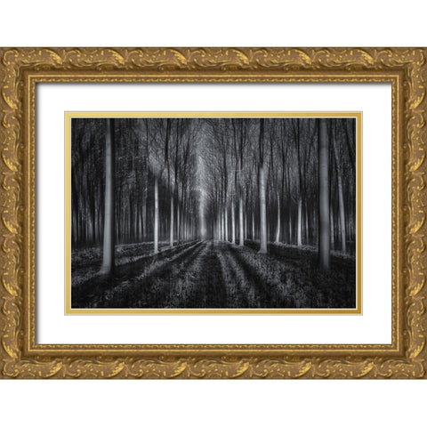 Into The Forest Gold Ornate Wood Framed Art Print with Double Matting by Zhu, Jingshu