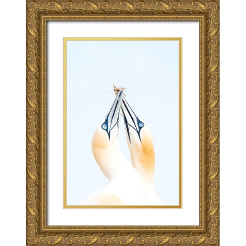 Gannets in love Gold Ornate Wood Framed Art Print with Double Matting by Jimenez, Inigo