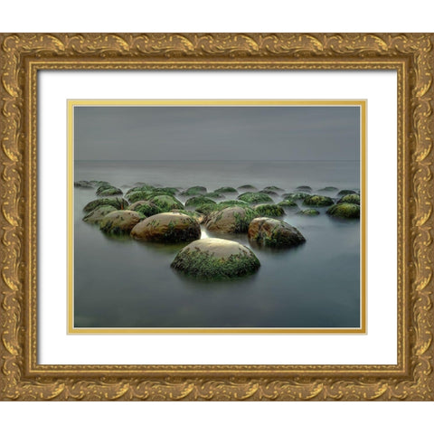 Bowling Ball Beach Gold Ornate Wood Framed Art Print with Double Matting by W. Chen, Janice