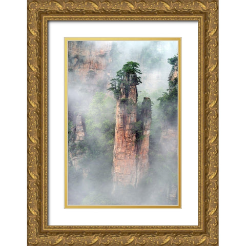 Zhangjiajie Gold Ornate Wood Framed Art Print with Double Matting by Zhu, Hua