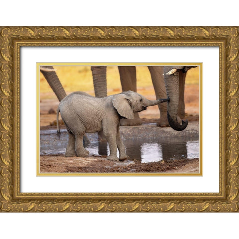 Play With Me-Please! Gold Ornate Wood Framed Art Print with Double Matting by Catta, Alessandro