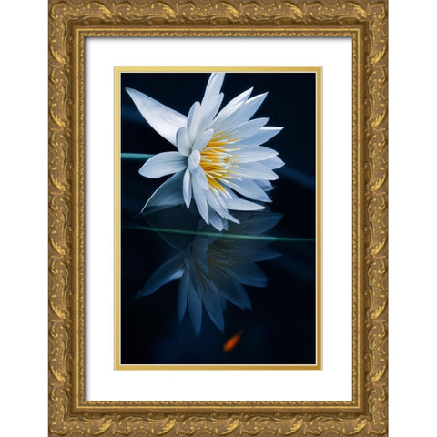 Reflecting World Gold Ornate Wood Framed Art Print with Double Matting by Suzuki, Takashi
