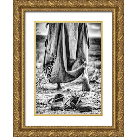 Passenger Gold Ornate Wood Framed Art Print with Double Matting by Saeidinia, Afshin