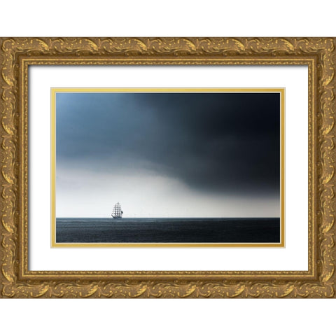 Cisne Branco Gold Ornate Wood Framed Art Print with Double Matting by Drijfhamer, Ton