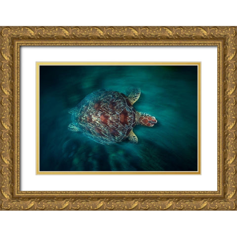 Vaclocity Turtle Gold Ornate Wood Framed Art Print with Double Matting by Gabriel, Barathieu