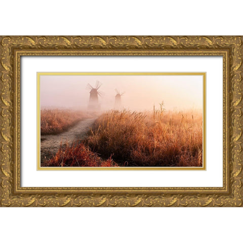 Morning Mist Gold Ornate Wood Framed Art Print with Double Matting by Eom, Gwangseop