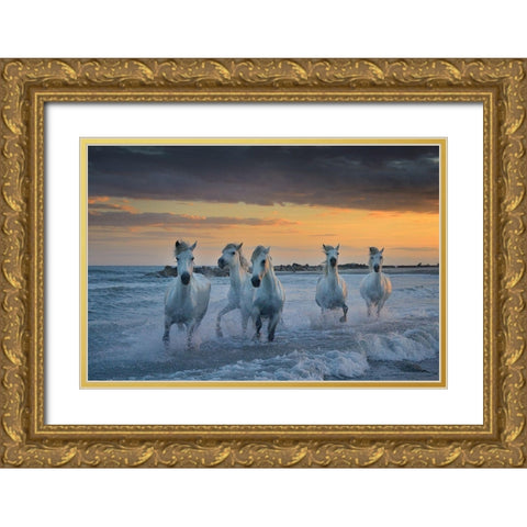In The Waves Gold Ornate Wood Framed Art Print with Double Matting by Vekemans, Muriel