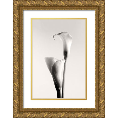 Calla Gold Ornate Wood Framed Art Print with Double Matting by Hanchevici, Calin