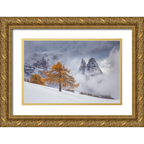 Between Seasons Gold Ornate Wood Framed Art Print with Double Matting by Ioan Ovidiu, Lazar