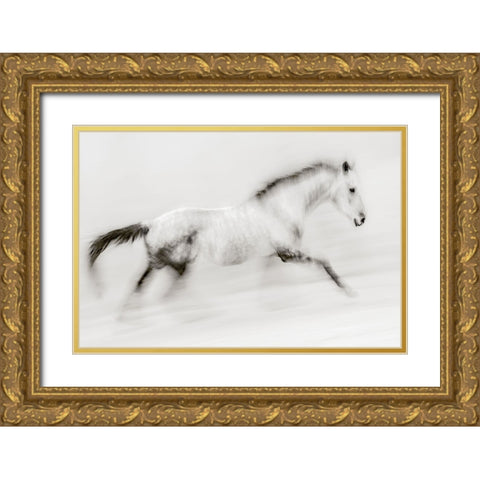 The Unique Brush Stroke Gold Ornate Wood Framed Art Print with Double Matting by Benezech, Martine