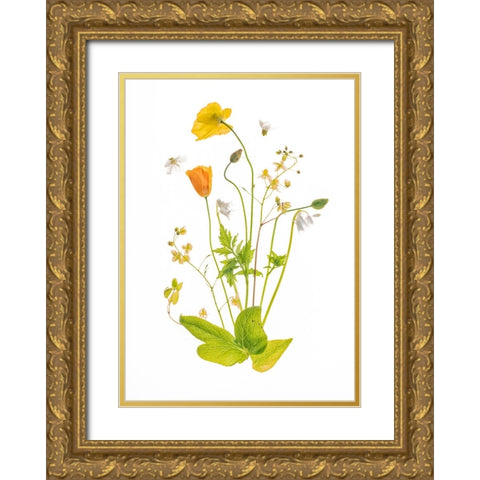Fairy Garden Gold Ornate Wood Framed Art Print with Double Matting by Williams, Sharon