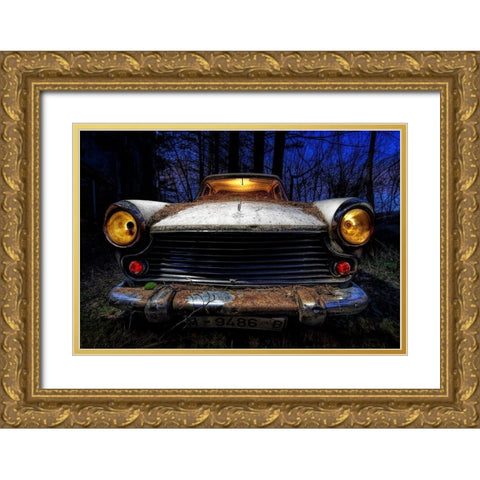 Morris Gold Ornate Wood Framed Art Print with Double Matting by Novillo, Alfonso