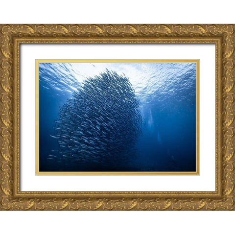 Mass Giant Gold Ornate Wood Framed Art Print with Double Matting by Choi, Yonghoon