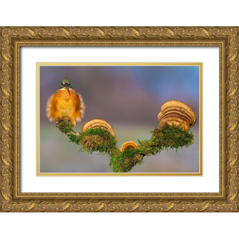 Buhtlin Gold Ornate Wood Framed Art Print with Double Matting by Sabol, Petar