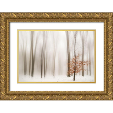Winter Gold Ornate Wood Framed Art Print with Double Matting by Tinak, Igor