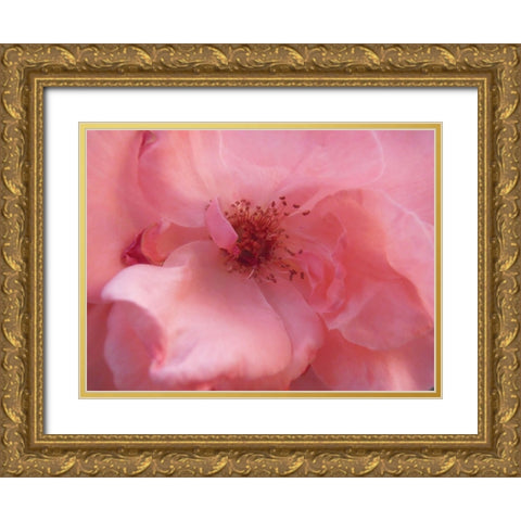Lovely Pink Gold Ornate Wood Framed Art Print with Double Matting by Petrovic, Snezana