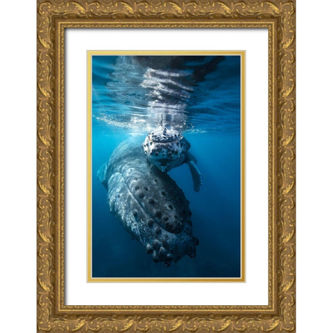 Humpback Whale And Calf Gold Ornate Wood Framed Art Print with Double Matting by Gabriel, Barathieu