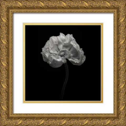 Poppy Gold Ornate Wood Framed Art Print with Double Matting by Gronkjar, Lotte