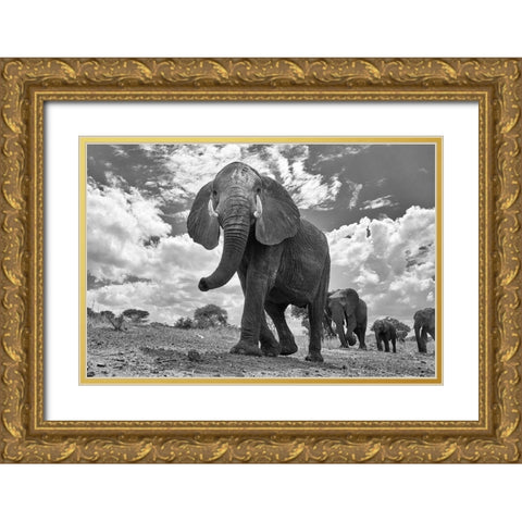 Matriarch March Gold Ornate Wood Framed Art Print with Double Matting by Hudson, Peter