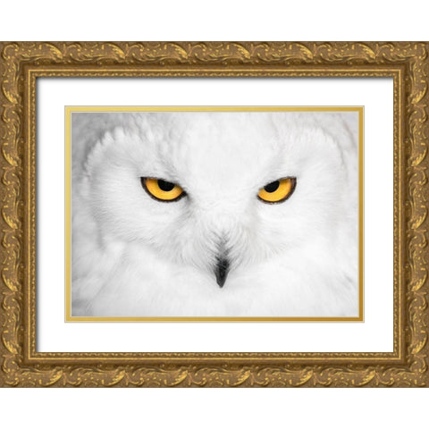 H Y P N O T I C S Gold Ornate Wood Framed Art Print with Double Matting by Fegari