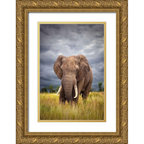 The Big Bull Gold Ornate Wood Framed Art Print with Double Matting by Moreno, Mario
