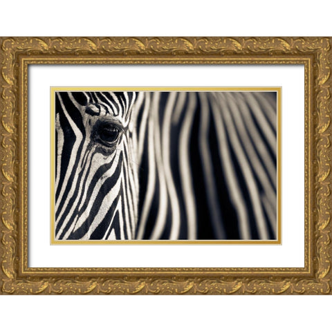 Eye A Stripes Gold Ornate Wood Framed Art Print with Double Matting by Moreno, Mario