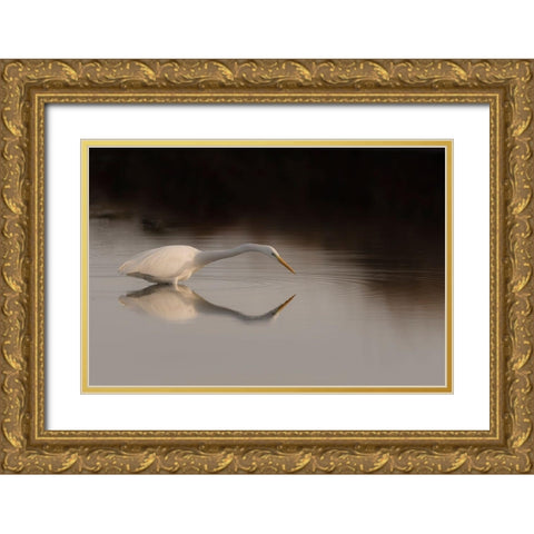 Search Mode Gold Ornate Wood Framed Art Print with Double Matting by Forner Rodriguez, Joaquin