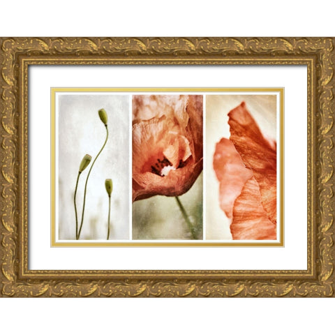 Untitled Gold Ornate Wood Framed Art Print with Double Matting by Davidsson, Gustav