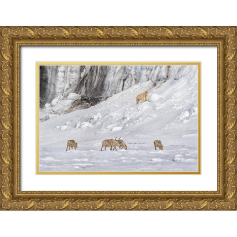 A Polar Bear Looking Down At Four Reindeer Gold Ornate Wood Framed Art Print with Double Matting by And Wei, Siyu