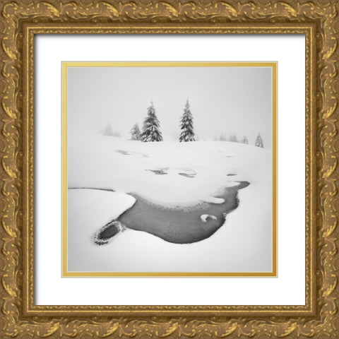 Frozen Swamps Gold Ornate Wood Framed Art Print with Double Matting by Rericha, Daniel