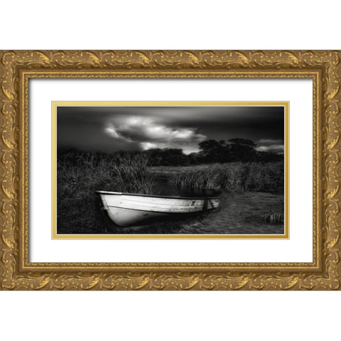 Beautiful! Magnificent Desolation... Gold Ornate Wood Framed Art Print with Double Matting by Depaepe, Yvette