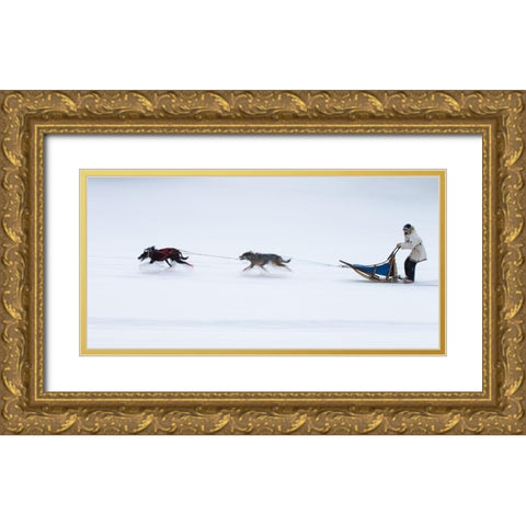 Sled Dogs Race - 1 Gold Ornate Wood Framed Art Print with Double Matting by Chang, Cheng