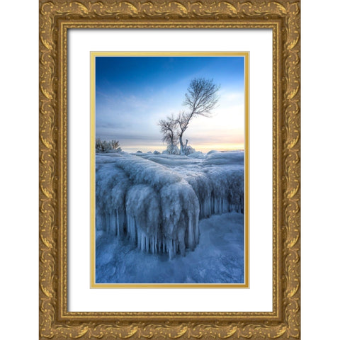 Winter Wonderland Gold Ornate Wood Framed Art Print with Double Matting by Deng, Larry