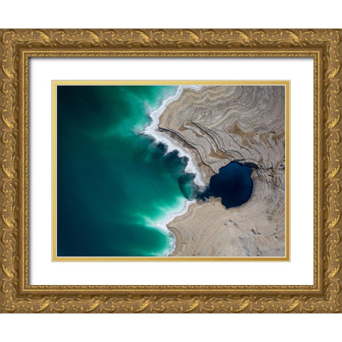 Big Fish Gold Ornate Wood Framed Art Print with Double Matting by Eliash, Tomer