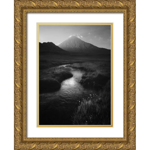 Leading To Mount Damavand Gold Ornate Wood Framed Art Print with Double Matting by Behzad, Majid