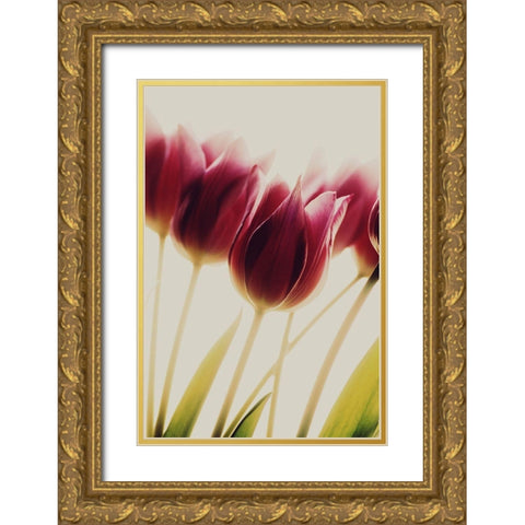 Tulips Gold Ornate Wood Framed Art Print with Double Matting by Philippin-Lipscomb, Rosalinde