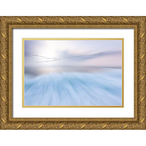 Fly Over Gold Ornate Wood Framed Art Print with Double Matting by Hermann, Uschi