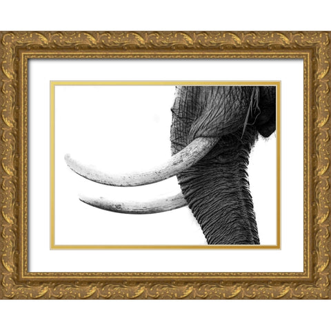 White Gold Gold Ornate Wood Framed Art Print with Double Matting by Marx, Jaco