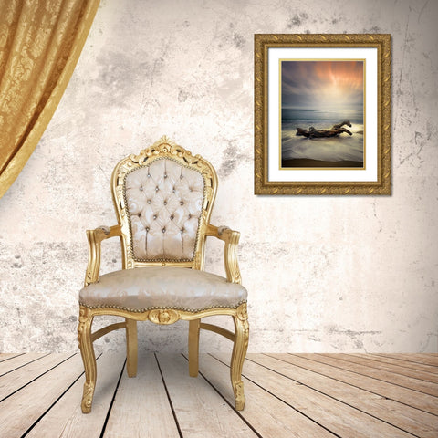 Morning Light Gold Ornate Wood Framed Art Print with Double Matting by Markova, Albena