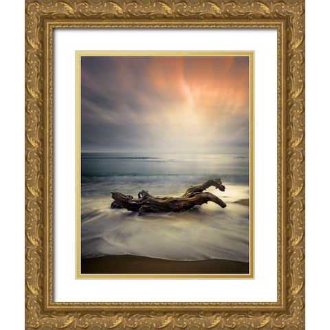 Morning Light Gold Ornate Wood Framed Art Print with Double Matting by Markova, Albena