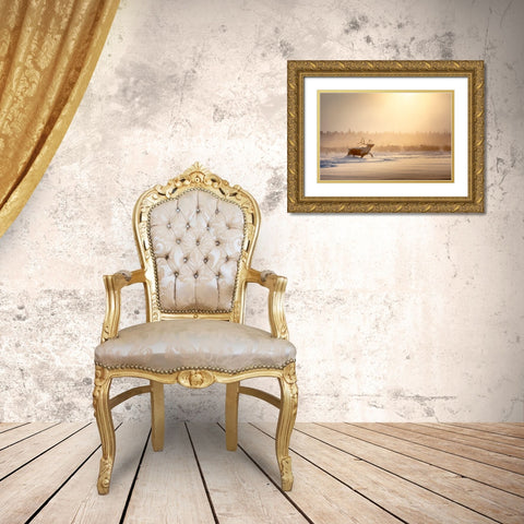 Alpha Male Gold Ornate Wood Framed Art Print with Double Matting by Minar, Patrik