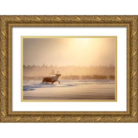 Alpha Male Gold Ornate Wood Framed Art Print with Double Matting by Minar, Patrik