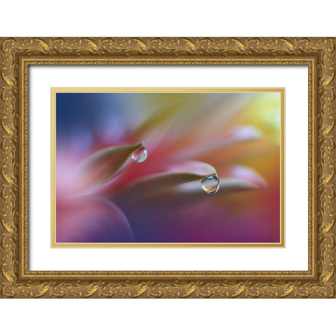 Sound Of Colors... Gold Ornate Wood Framed Art Print with Double Matting by Nan, Juliana