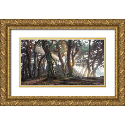 Sacred Pine Trees Gold Ornate Wood Framed Art Print with Double Matting by Ryu, Jaeyoun