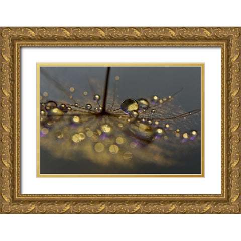 Golden Purple Gold Ornate Wood Framed Art Print with Double Matting by Westum, Heidi