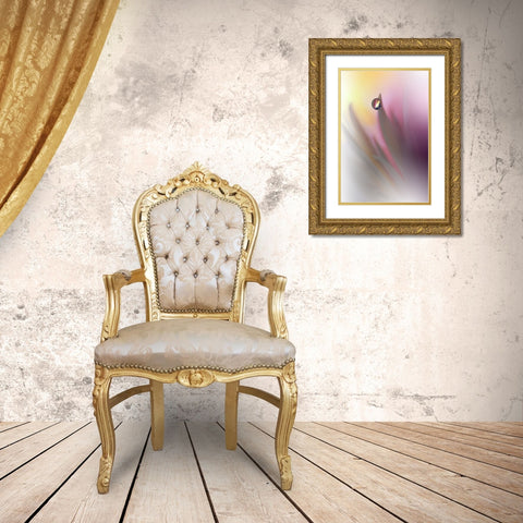 Abstract Illusion.. Gold Ornate Wood Framed Art Print with Double Matting by Nan, Juliana