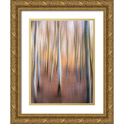 Magic Woodland Gold Ornate Wood Framed Art Print with Double Matting by Zanin, Riccardo