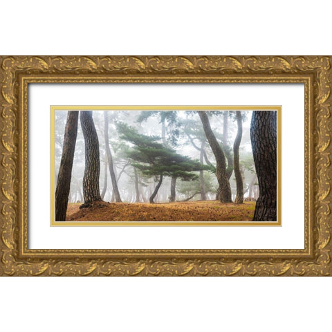 In The Misty Pine Forest Gold Ornate Wood Framed Art Print with Double Matting by Ryu, Jaeyoun